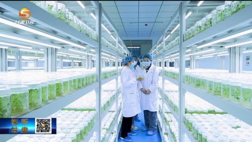 甘肅 科技創新為發展裝上最強“大腦”